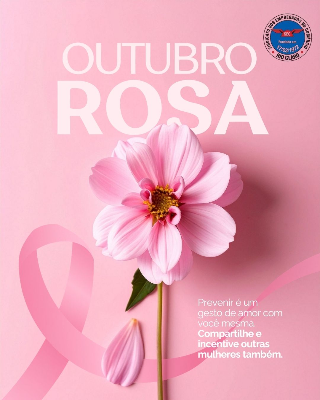 OUTUBRO ROSA